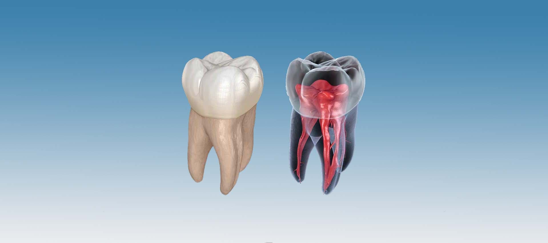Beautiful smile results — cosmetic dentistry